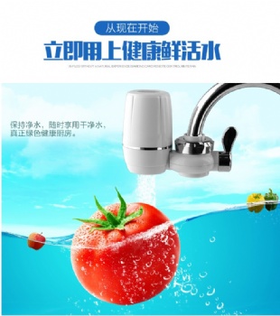 Kitchen faucet water purifier filter